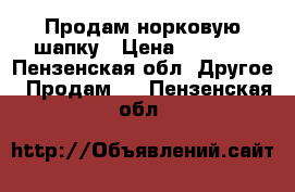  Продам норковую шапку › Цена ­ 4 500 - Пензенская обл. Другое » Продам   . Пензенская обл.